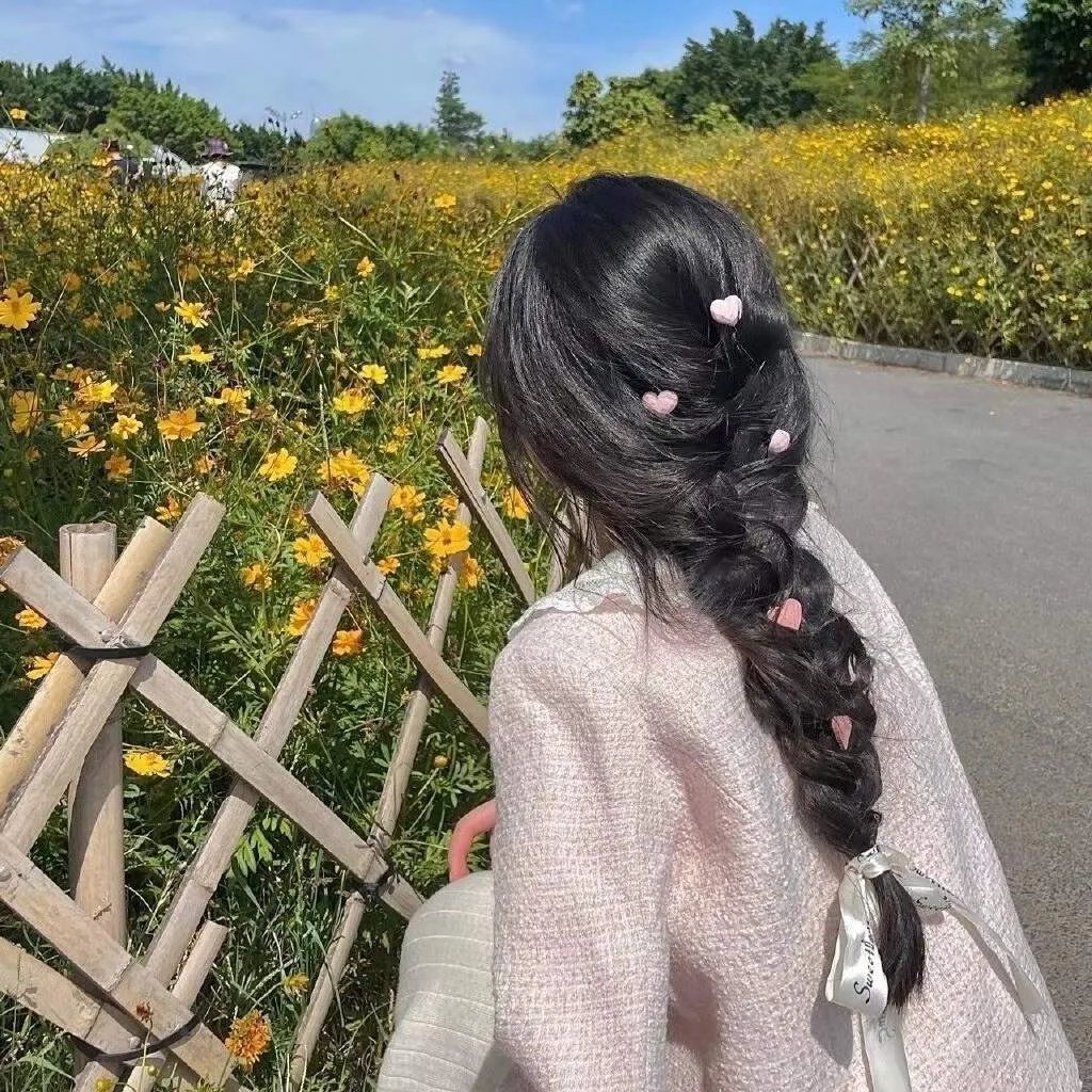 与鲨鱼游弋